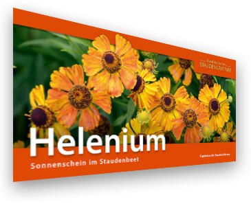 Helednium